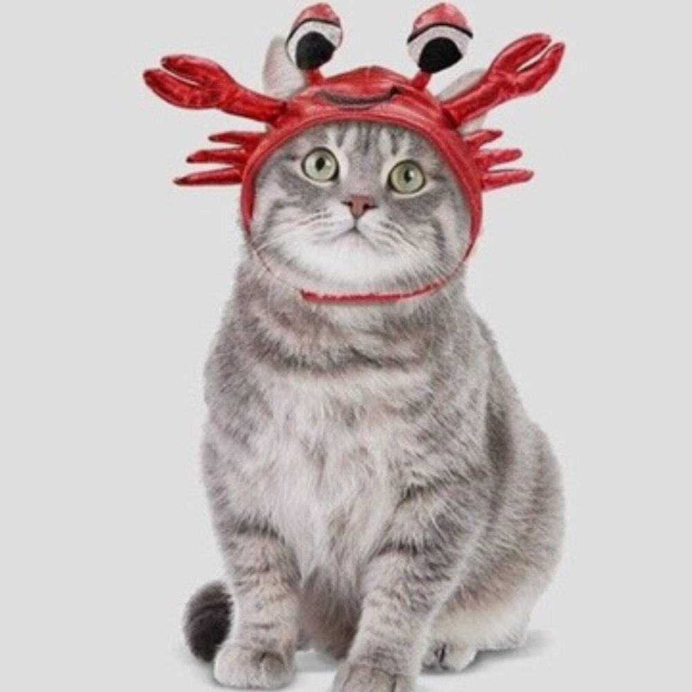 Red Crab Cat Costume Hat